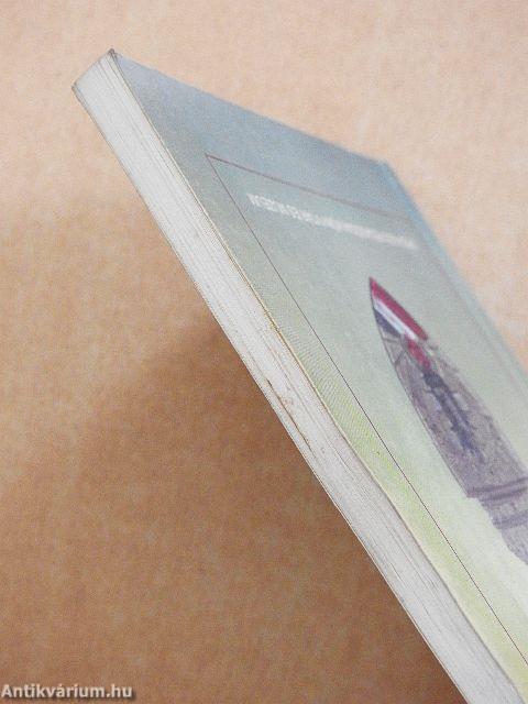 Negyvenezer magyar levente kálváriája a második világháború végén