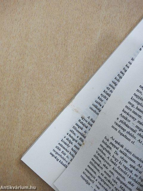 Negyvenezer magyar levente kálváriája a második világháború végén