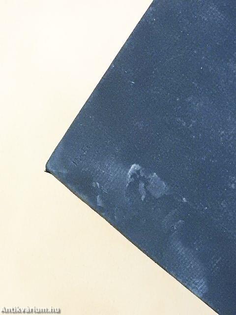 Mario és a varázsló