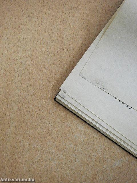 Mario és a varázsló