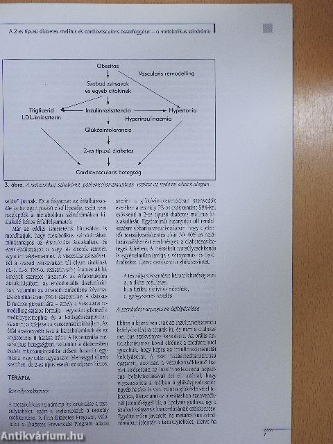 Diabetes Mellitus 2003. október