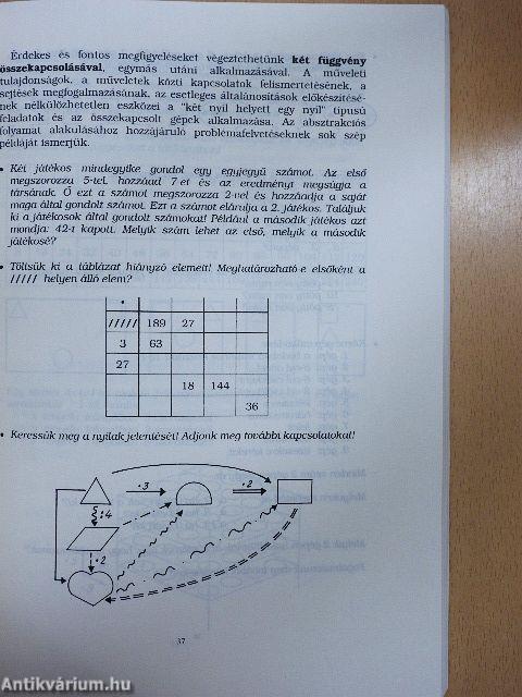 Szakvezetői modellkísérlet I.