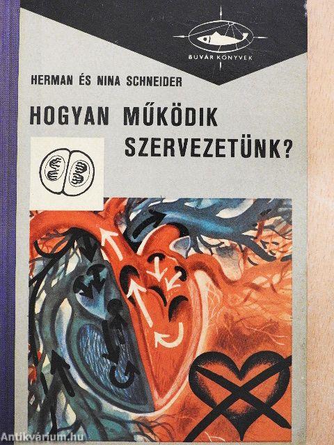 Hogyan működik szervezetünk?