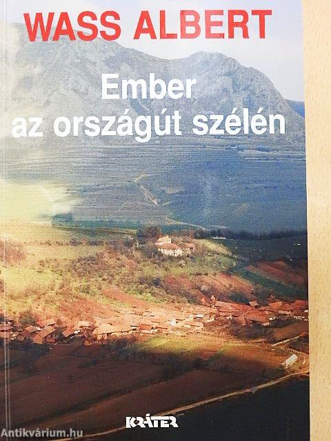 Ember az országút szélén