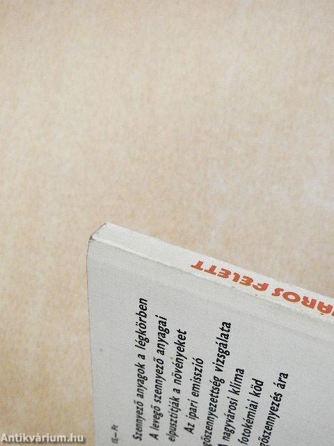 Füstköd a város felett