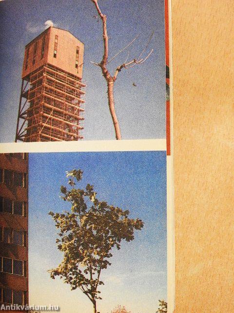 Füstköd a város felett