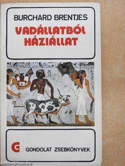 Vadállatból háziállat