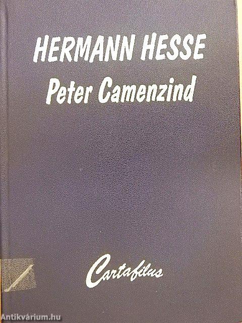 Peter Camenzind