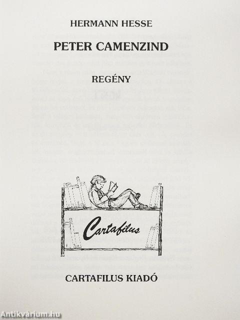 Peter Camenzind