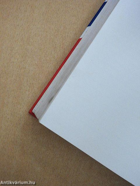 Francia-magyar kéziszótár