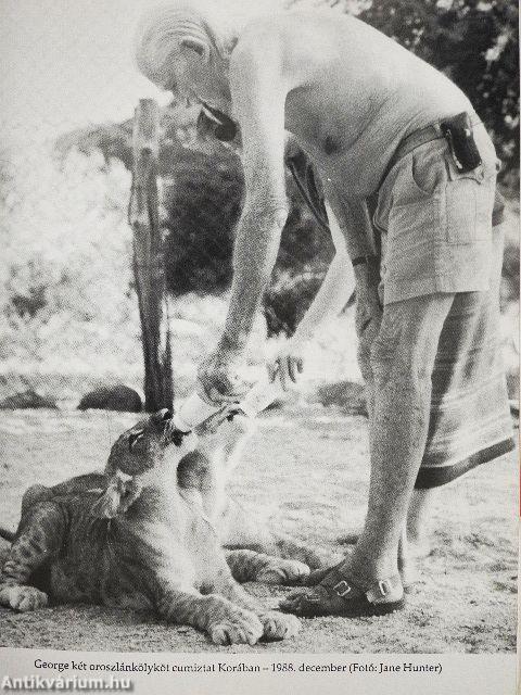 Oroszlánok örökében