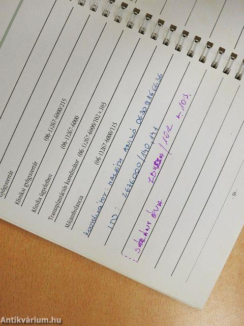 Az élet megy tovább!