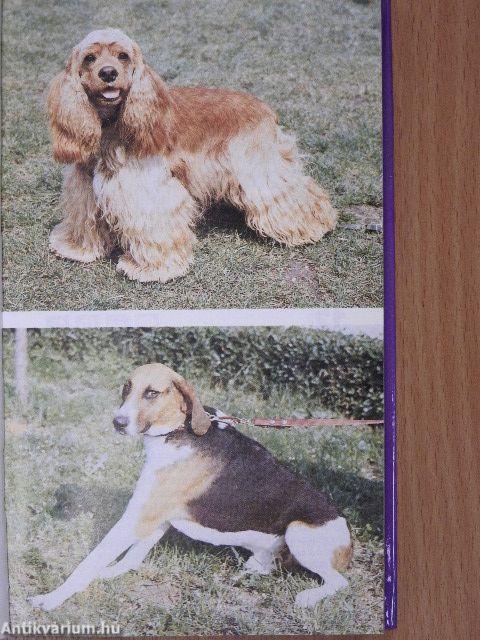 A világ kutyái I-II.