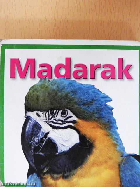 Madarak (minikönyv)