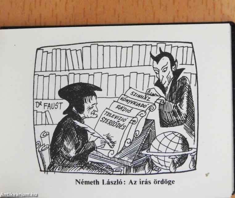 Kaján képernyő (minikönyv) (számozott)