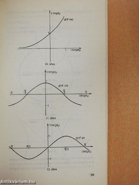 A biológiai modellezés matematikai alapjai I. (töredék)