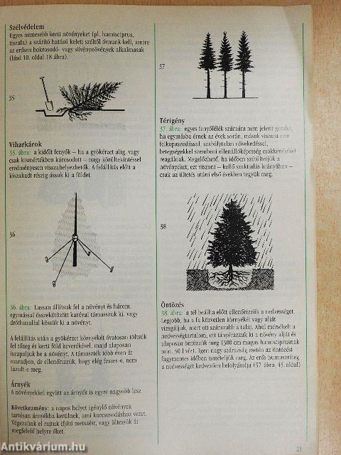 Starkl ápolási útmutató