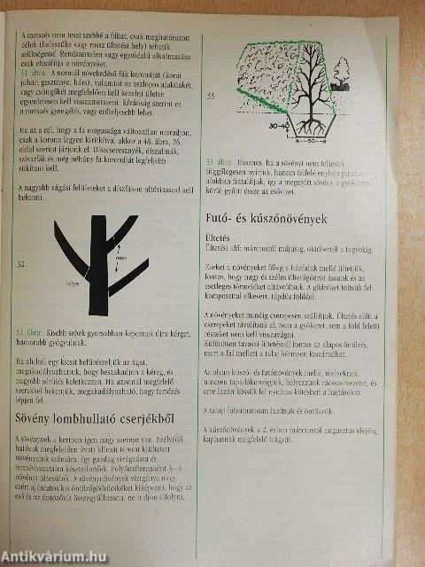 Starkl ápolási útmutató