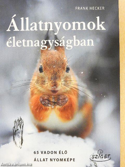 Állatnyomok életnagyságban