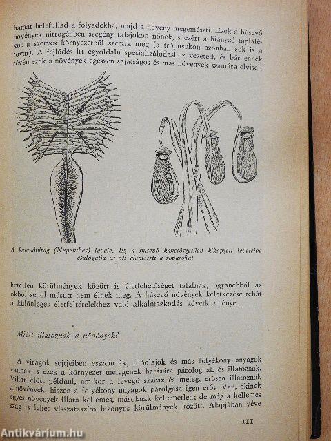 A természet titkai