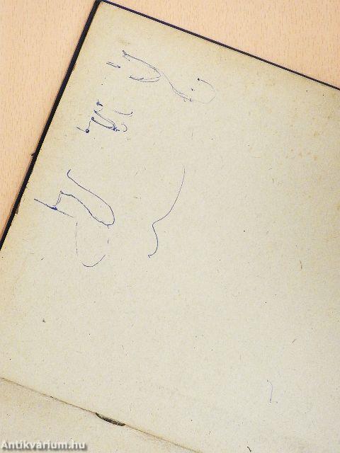 Szigetelt csillagpontú hálózatok szigetelését ellenőrző relé