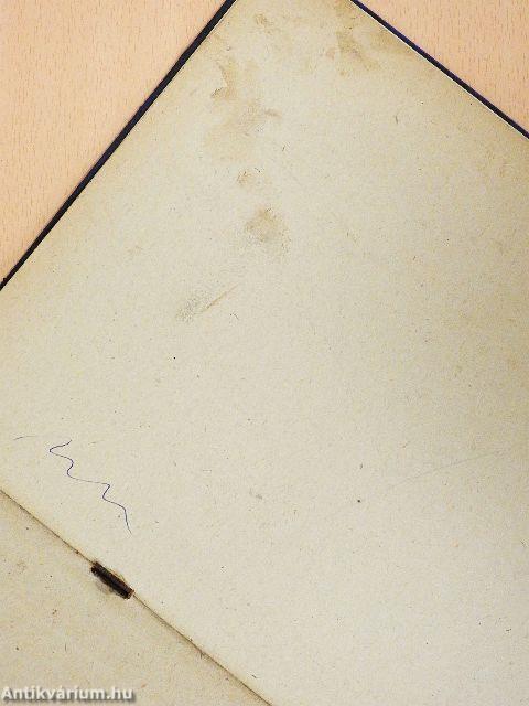 Szigetelt csillagpontú hálózatok szigetelését ellenőrző relé