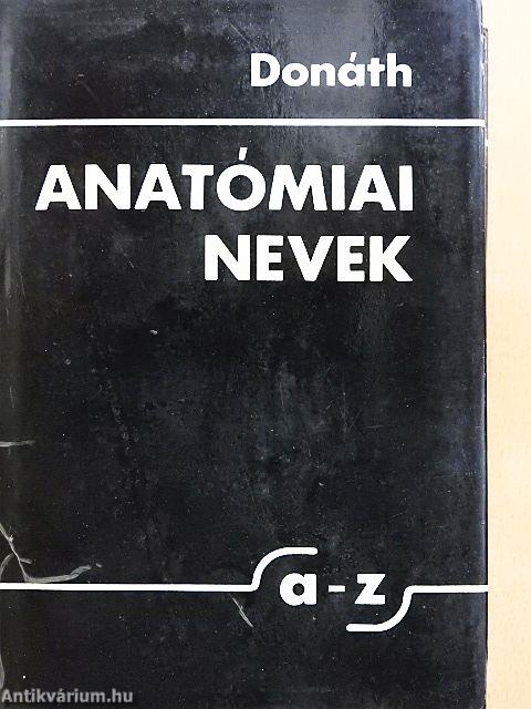 Anatómiai nevek A-Z-ig