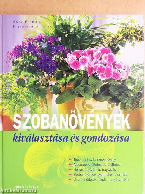 Szobanövények kiválasztása és gondozása