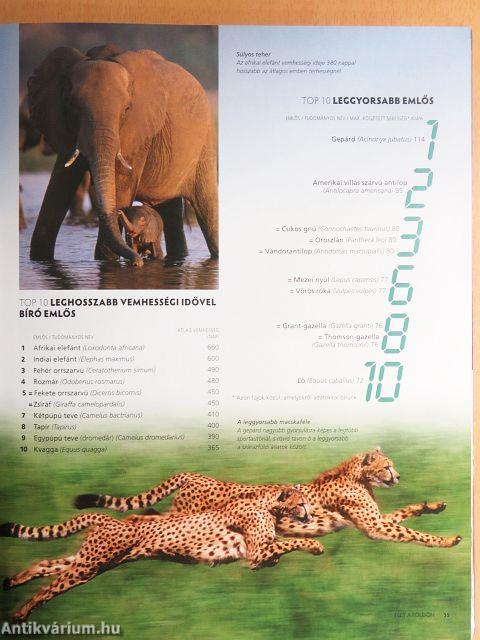 Top 10 mindenről 2009