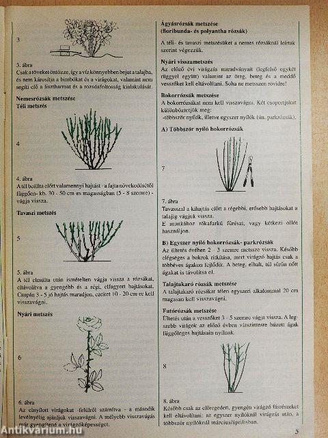 Starkl ápolási útmutató