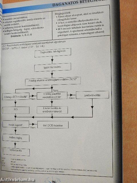 Útmutató 2006/1.