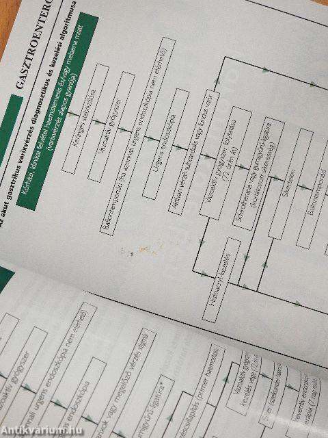 Gasztroenterológiai Útmutató 2004