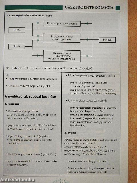 Gasztroenterológiai Útmutató 2004