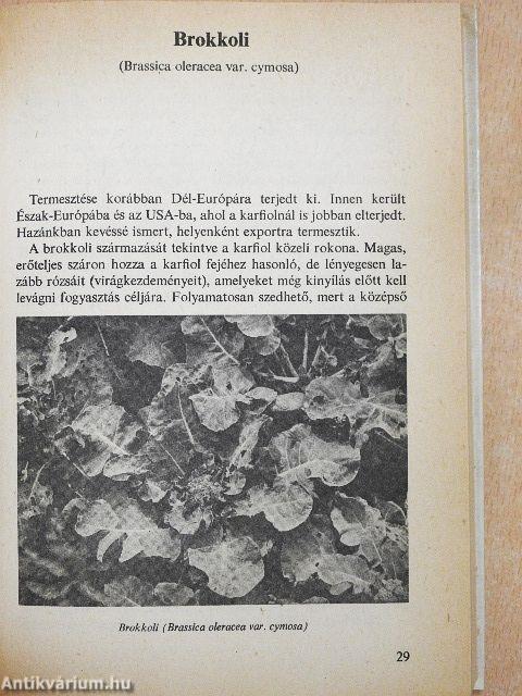 Különleges zöldségételek