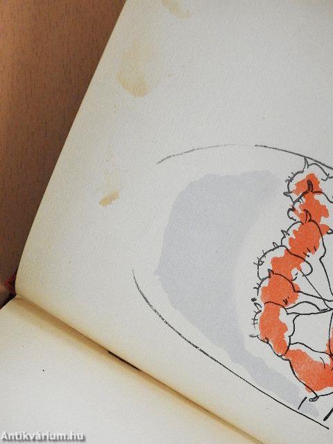 Állatkerti útmutató