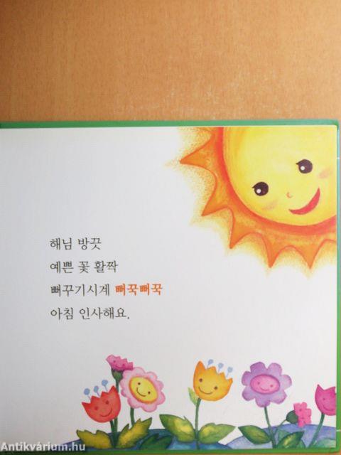 A gondolkodó szék (koreai nyelvű)