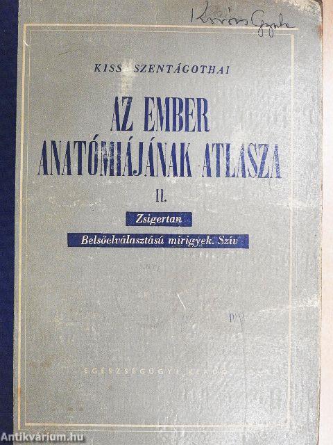 Az ember anatómiájának atlasza II. (töredék)