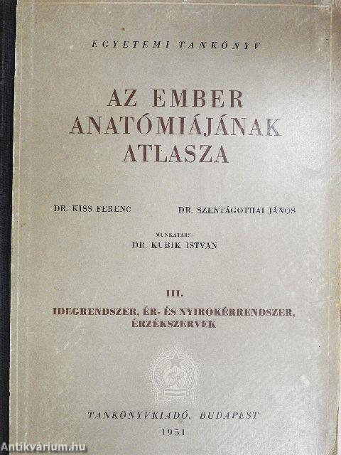 Az ember anatómiájának atlasza III. (töredék)