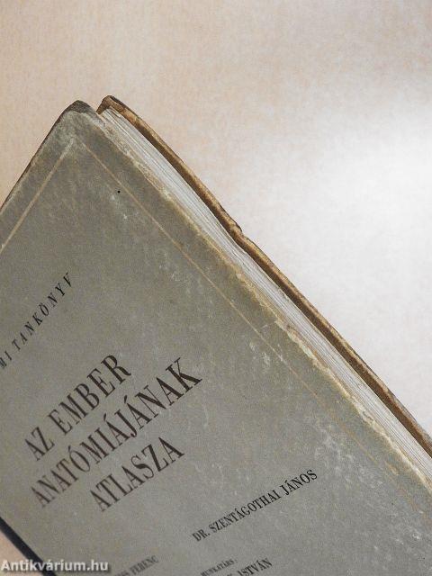 Az ember anatómiájának atlasza III. (töredék)