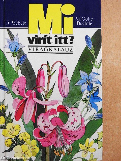 Mi virít itt?
