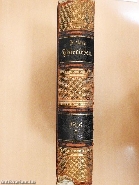 Brehms Thierleben V. (gótbetűs)