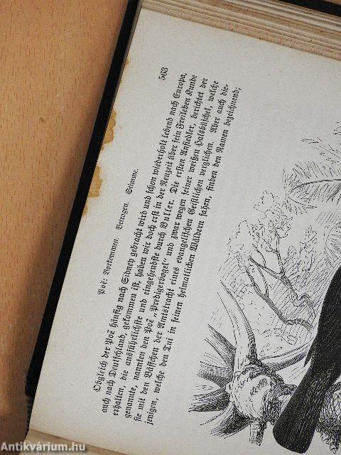 Brehms Thierleben V. (gótbetűs)