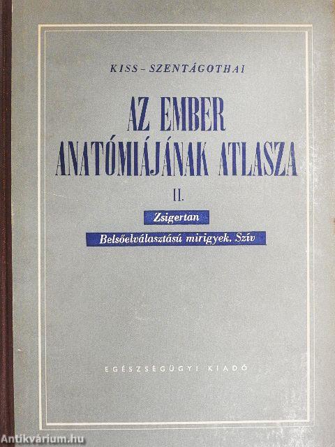 Az ember anatómiájának atlasza II. (töredék)