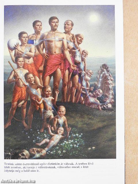 Az önmegvalósítás tudománya