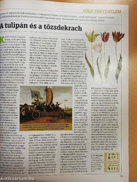 BBC History 2012. december