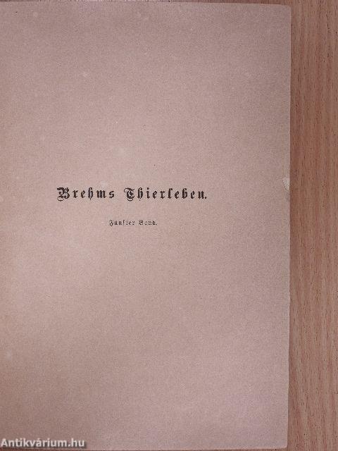 Brehms Thierleben V. (gótbetűs)