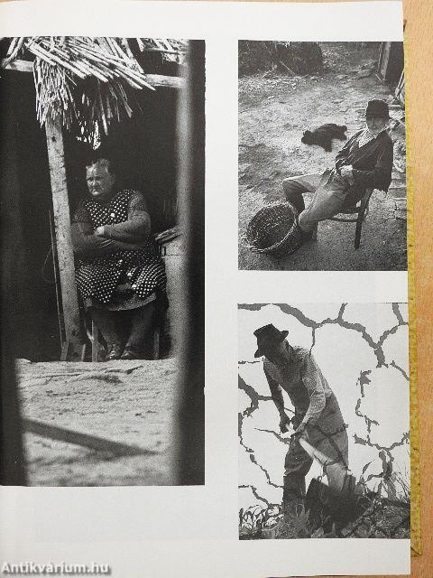 Fotó 1979. január-december