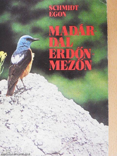 Madárdal erdőn-mezőn