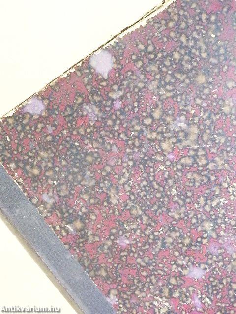 Der große Spiegel I-II. (gótbetűs)