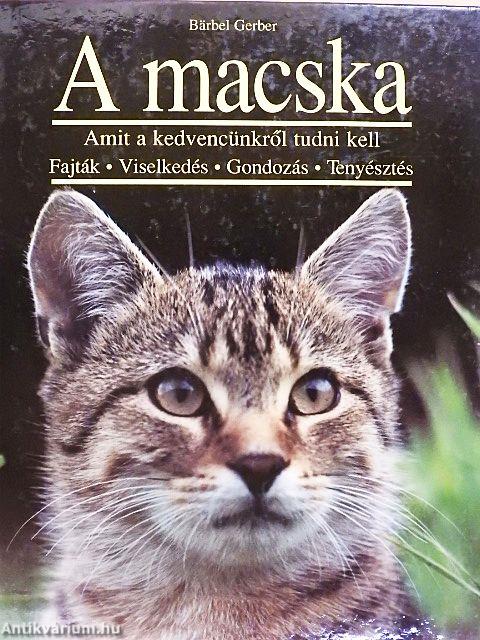 A macska